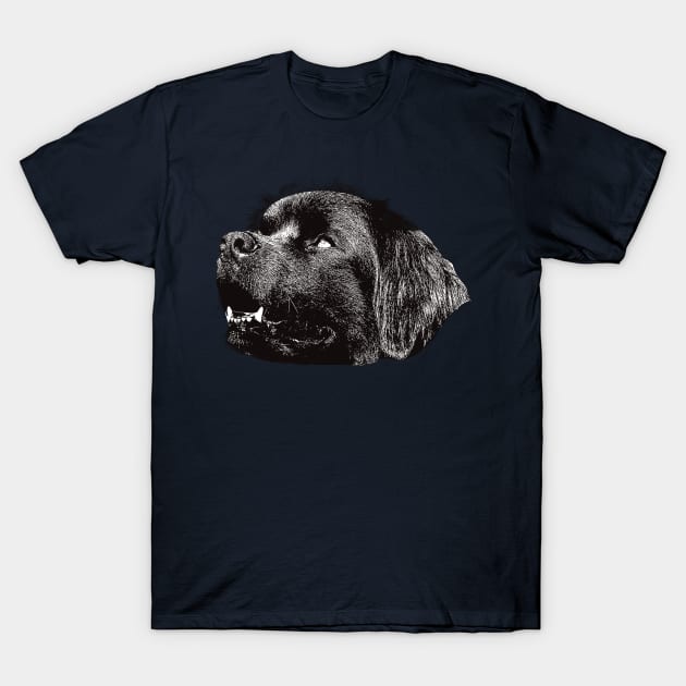 Newfoundland - Newfoundland Christmas Gifts T-Shirt by DoggyStyles